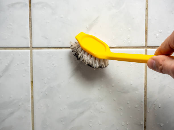 Best Commercial Mold Removal  in Pittsburgh, PA