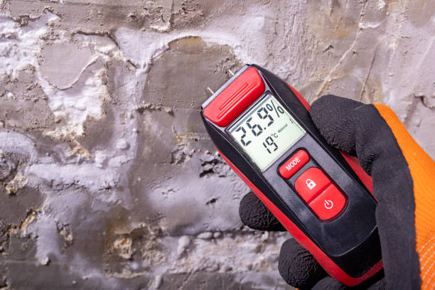 Mold Removal and Inspection in Pittsburgh, PA